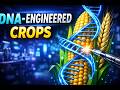 How Gene Editing is Saving Our Food Supply (CRISPR Explained)