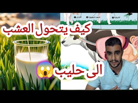 كيف يتحول العشب الى حليييب مثال بسيط على عظمة الخالق