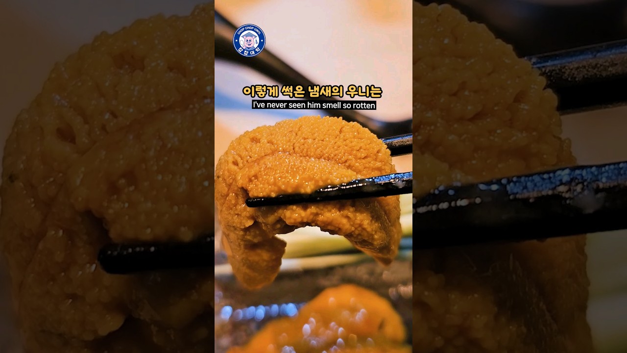 [일식학과] 희대의 반전 우니가 나온 이자카야