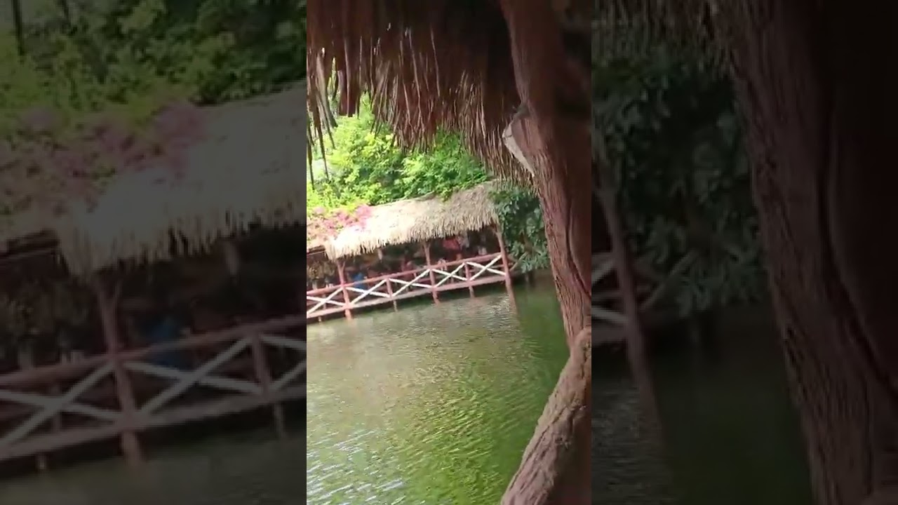 Homestay Nhà Tôi past 2 - youtube