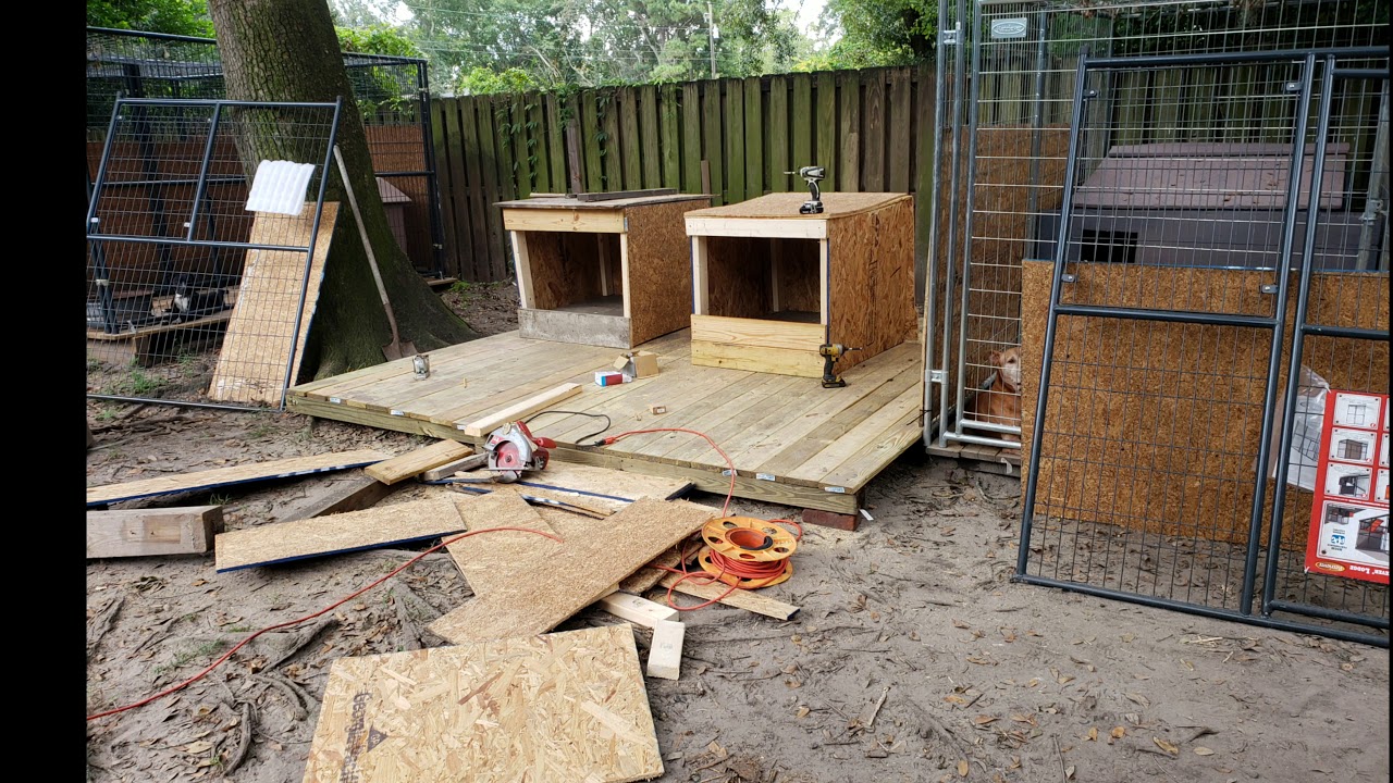 THOMPSON KENNEL'S WORK IS ALL WE KNOW YouTube