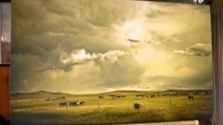Big Sky Montana Horses.wmv