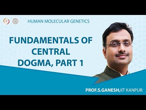 Fundamentals of central dogma, Part 1