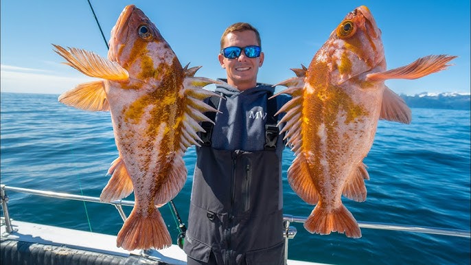 GIANT Deep Sea GOLDFISH! Catch Clean Cook (Yellow eye Rockfish) 