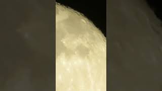 月の瞑想 #moon#meditation#sagitarius #shorts