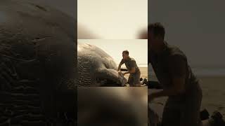 Why Can’t Beached Whales Be Saved  🐋🆘🔥