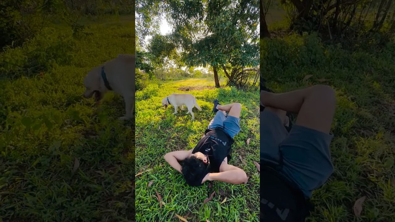 The Golden hour 🏔️ # 