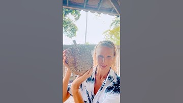 I ABSOLUTELY ADORE THIS FRUIT #durian #ubud #fruitlovers
