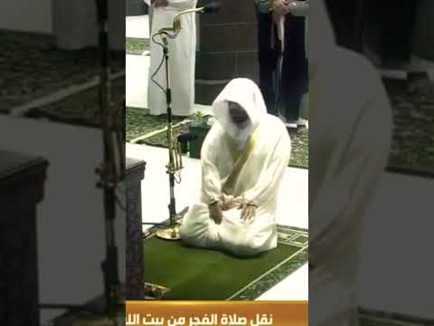 لحظة سجود التلاوه للشيخ أ د ياسر الدوسري من فجر الجمعة ١٤٤٢ه