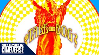 THE TALE OF THE DOG