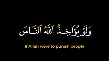 ولو يؤاخذ الله الناس بما كسبوا ما ترك على ظهرها من دابة | سورة فاطر | بصوت ماهر المعيقلي . كرومات