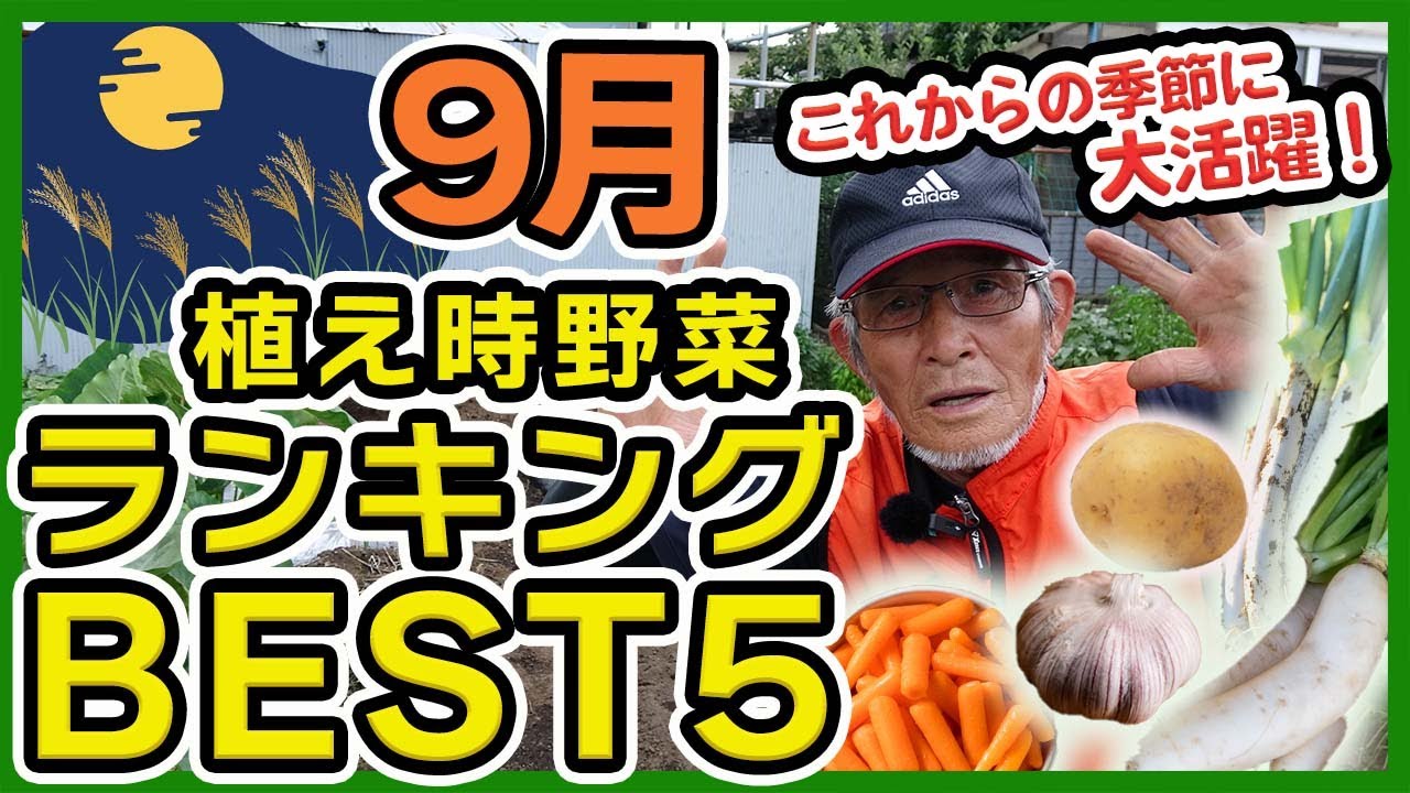Top 5 vegetables to plant in September chosen by Japanese farmers