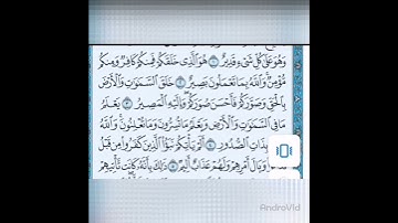 سورة التغابن من ٥_٨. المعيقلي