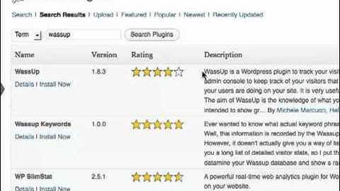 How To Track Your WordPress Blog Visitors