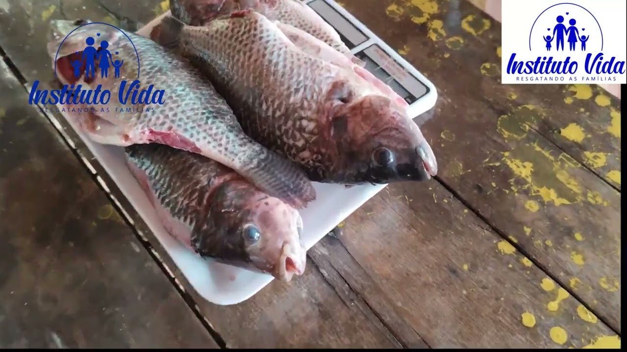 AUTO SUSTENTO - Associação Sustentável