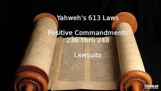 Yahweh 613 Laws Part 17 - Positive Commandments 236 thru 248