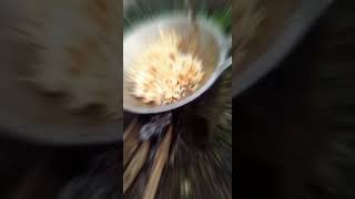 Download Lagu Nasib anak kost MP3