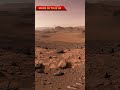 NASA'S  Perseverance  rover captures latest image of Mars-1#mars4k#mars#marsperseverancerover#nasa