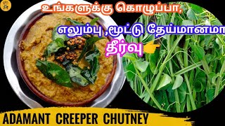 பிரண்டை பயன்கள் / பிரண்டை துவையல் / veldt grape health benefits / side dish for idly, dosa and rice