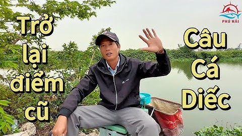 Câu cá diếc mùa đông. Trở lại điểm câu cũ, liệu có thành công | Phú Hải Fishing