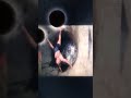 did they reverse this video #shorts #skills v