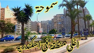 منطقة سموحه الاسكندرية | ليه هى اغلى منطقة فى اسكندرية | اسكندريه الان