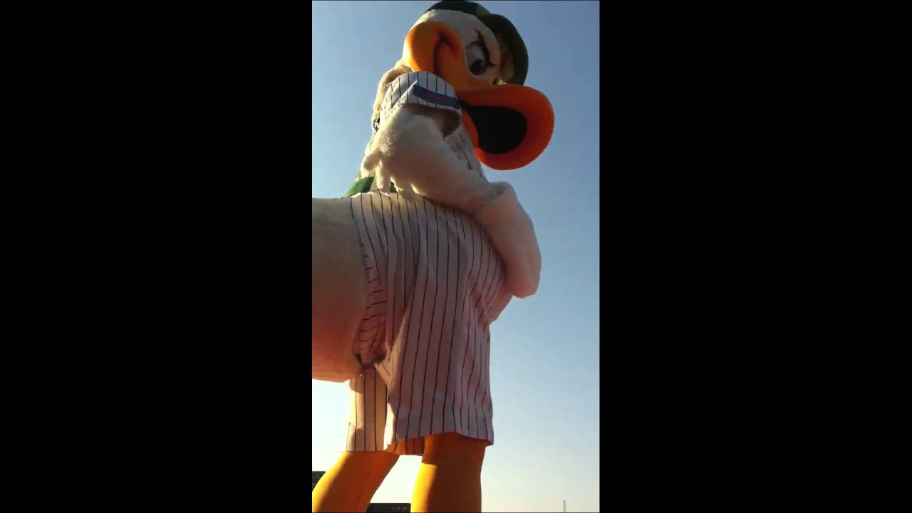 LI Ducks 8/12/12: hit