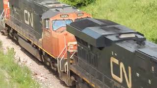 Double line up of M337 and M338 manifest trains