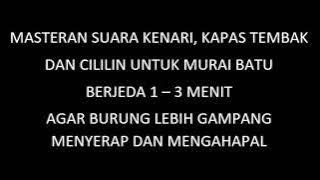 MASTERAN MURAI BATU - suara KENARI, KAPAS TEMBAK dan CILILIN berjeda