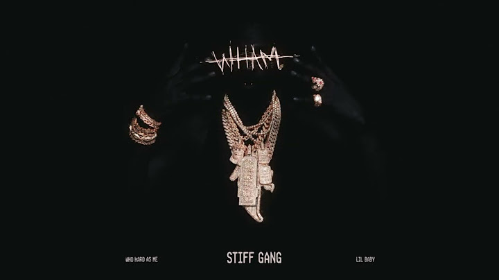 Lil Baby - Stiff Gang (Official Visualizer)