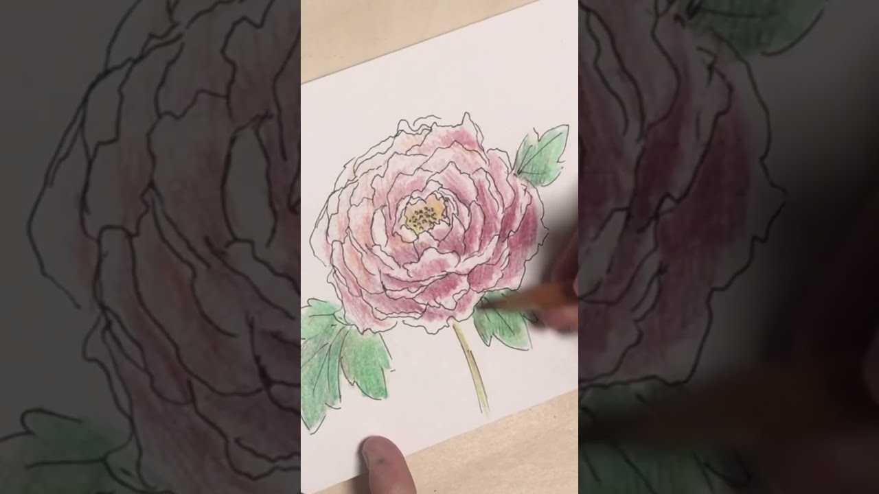 色鉛筆画 リバティアイランド 原画 手描き アナログ イラスト No.57 馬 色鉛筆画 原画 リバティアイランド 手描き アナログ イラスト No