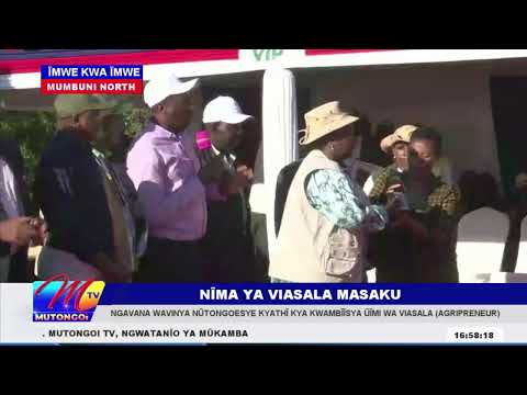 NĨMA YA VIASALA MASAKU