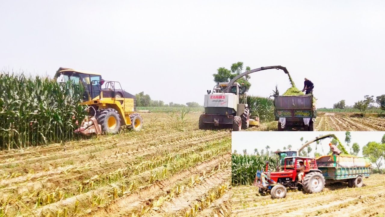 New silage harvester machines making SilageTractor PK YouTube