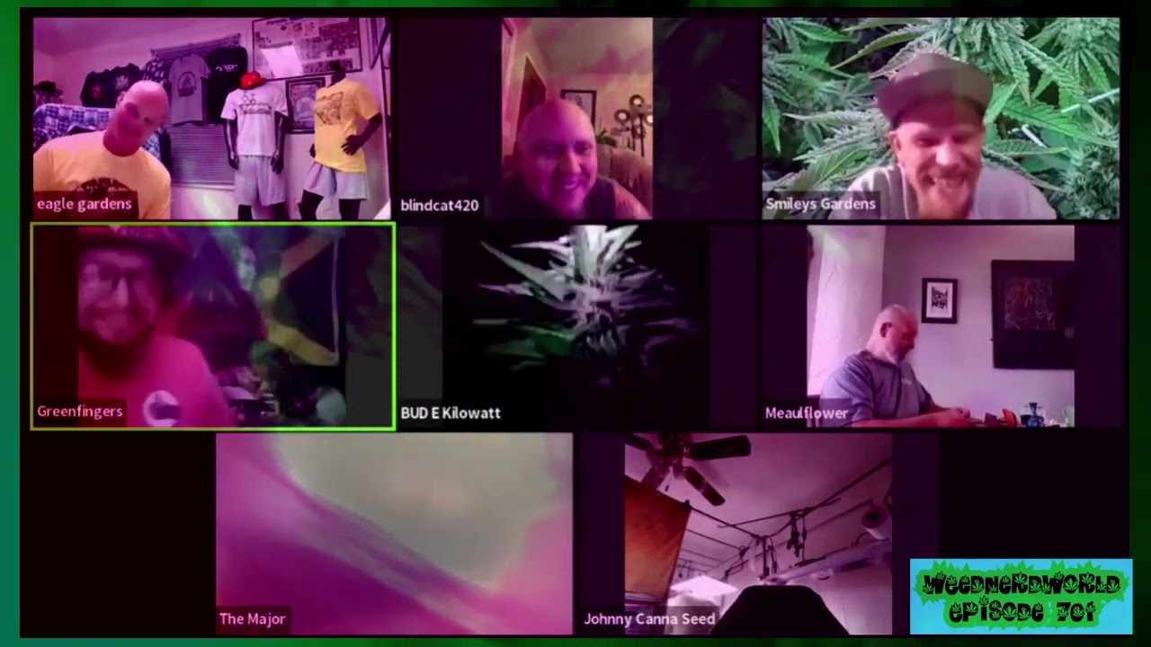 Keep Your Bush Trimmed ✂ [WEedNerdWorld Episode 701 CLIP]