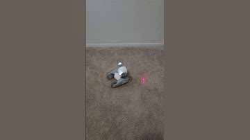 Loona Laser Tracking Feature