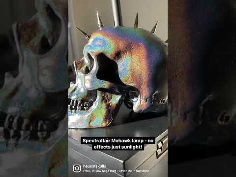 Spectraflair Skull - Haus of Skulls