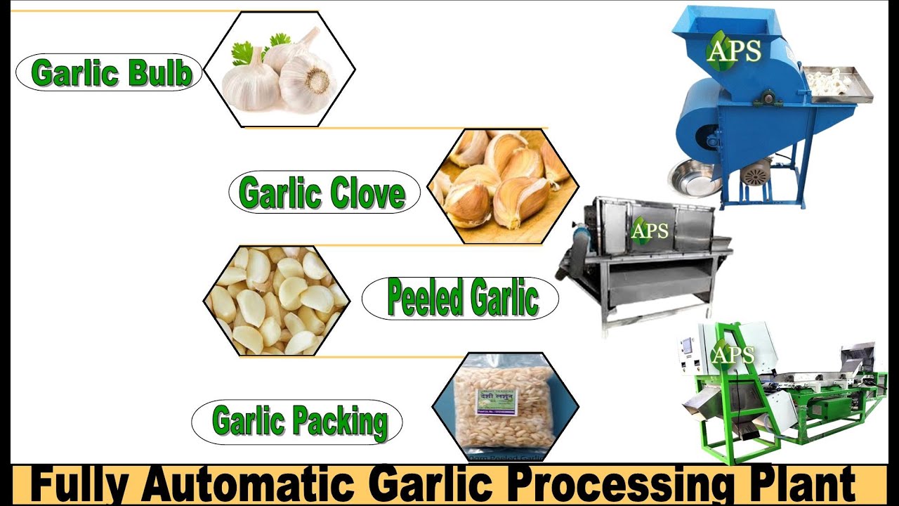 APS Industries Fully Automatic Garlic Processing Plant