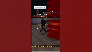 Minecraft Mob Battle Magma Cube vs Wither Skeleton