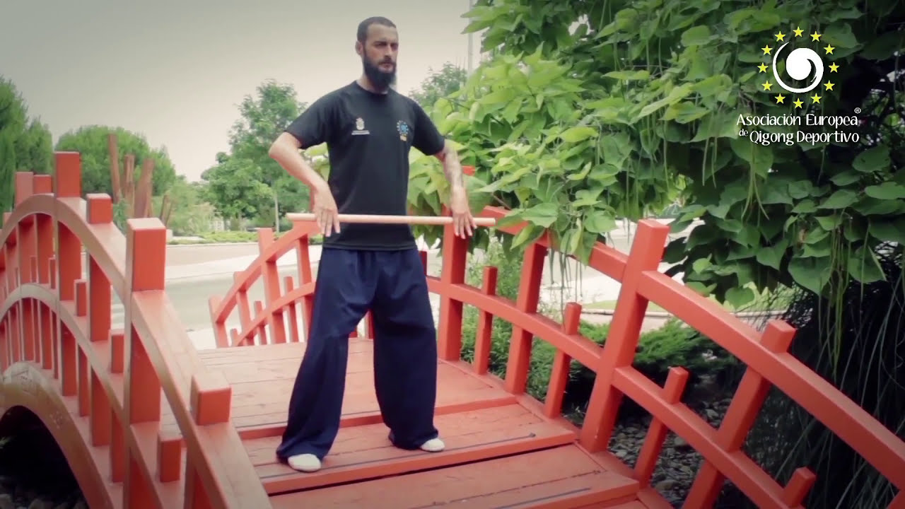 BA MAI ZHANG QIGONG - A.E.Q.D.