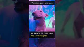 Учим турецкие выражения #shorts