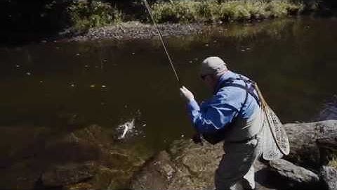 Project Healing Waters helps veterans through fly fishing