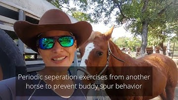 Separation training - Taking a single horse out on the road to a new location to prevent Buddy Sour