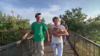 :    !