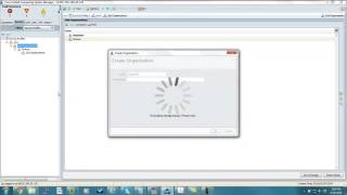 02 - Cisco UCS - Creating Organizations