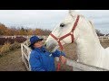 Profesionalci: Tereza Keresteš - Stručnjak za uzgoj i obuku konja