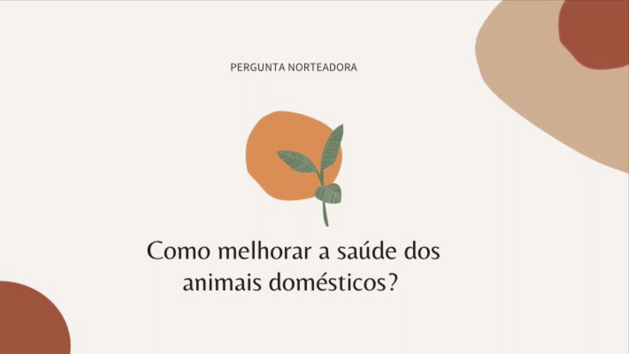 STEAM - Saúde Felina