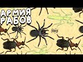 РАБЫ СТАЛИ МОЕЙ АРМИЕЙ ▶ Pocket Ants: Симулятор Колонии Прохождение | Обзор