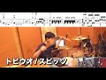 【さざなみCD】 トビウオ / スピッツ 叩いてみた