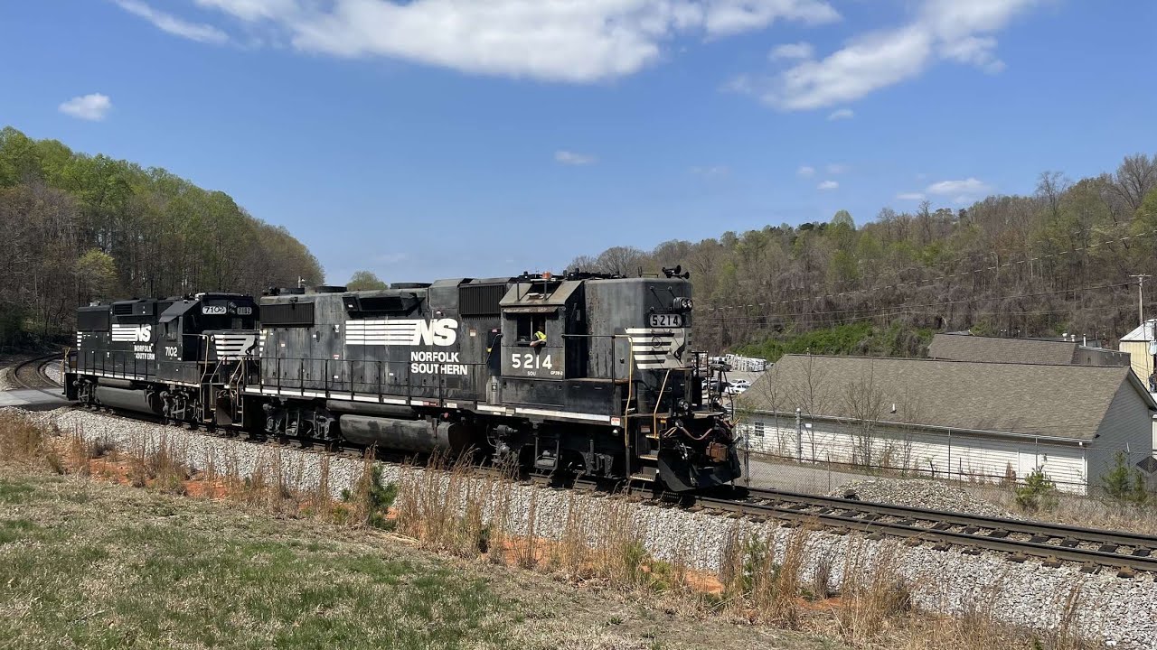 “OLD HORSE” Leads V77 YouTube