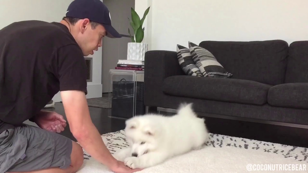 Learning the Basics!